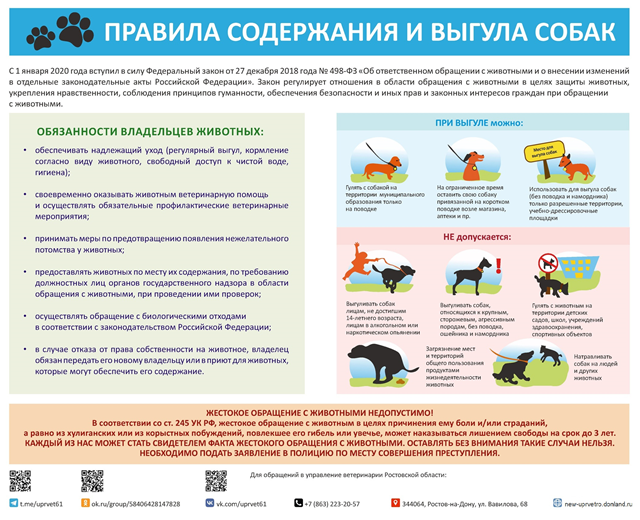 Правила содержания и выгула собак