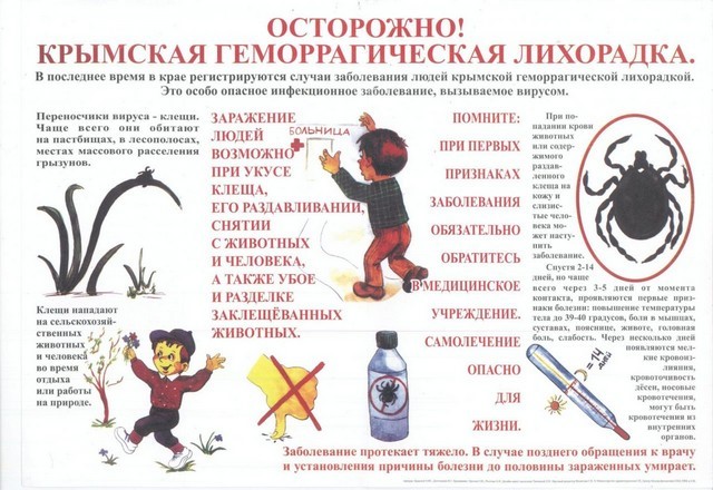 Памятки населению по профилактике крымской геморрагической лихорадки (КГЛ)